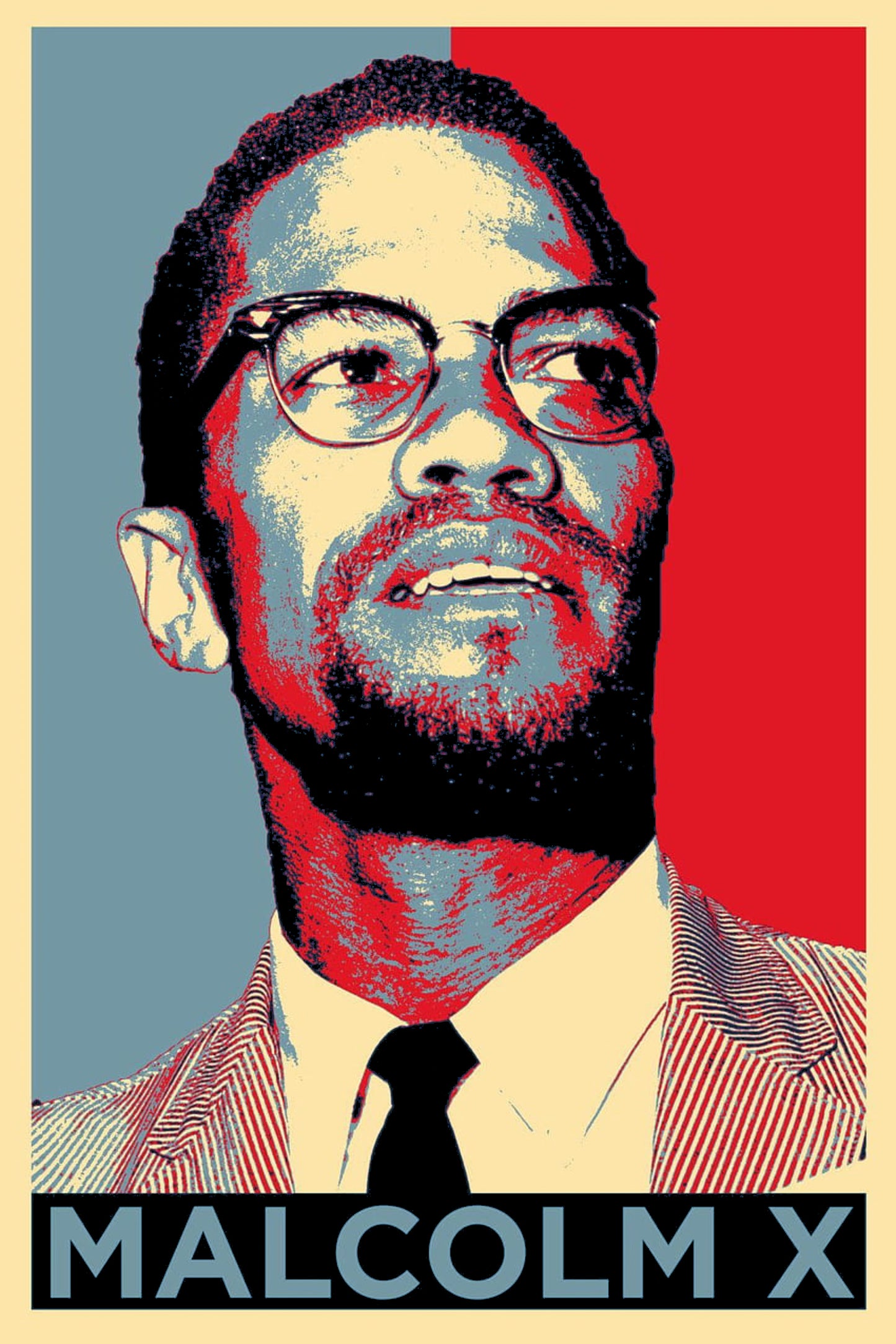 Malcolm X Halftone
