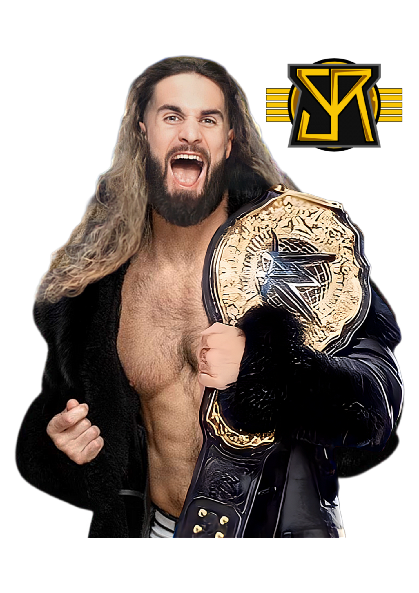 Seth Freakin Rollins