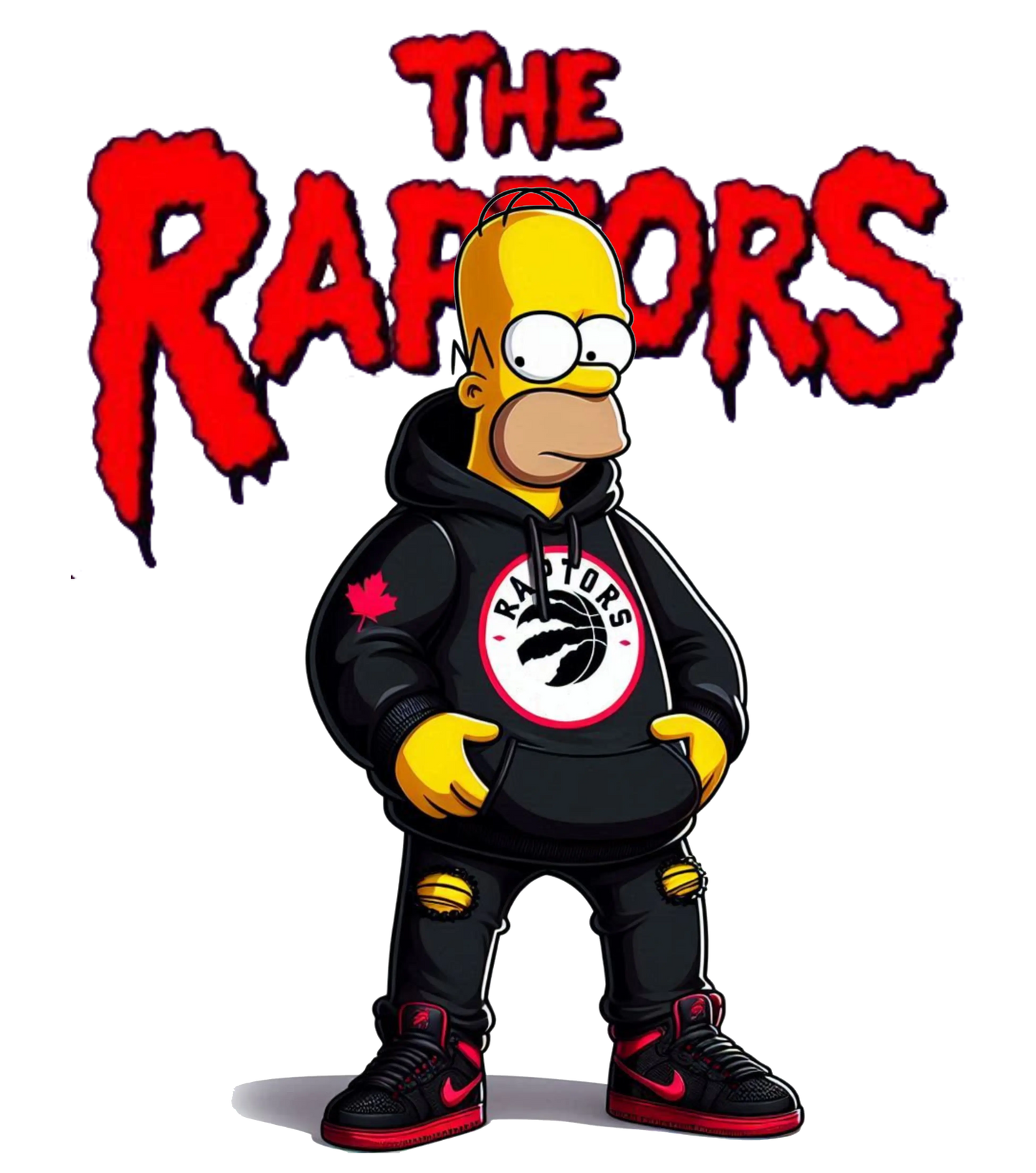 Homer is a Raptors Fan